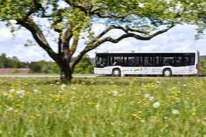 Stadtverkehr Friedrichshafen Bus im Frühling